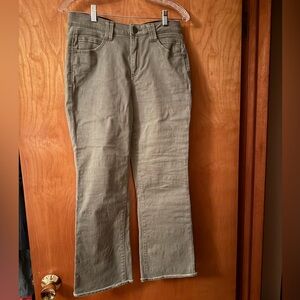 Democracy Women's Straight Leg Olive Jeans